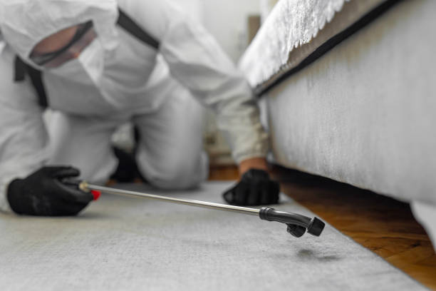 Professional Bed Bug Control technician working in Carlisle, OH